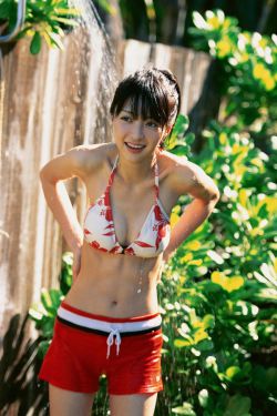 春日暖阳电视剧