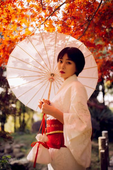 剩女时代电视剧