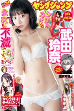 仙尊洛无极